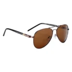 Lunettes de soleil de marque BARCUR - Brown